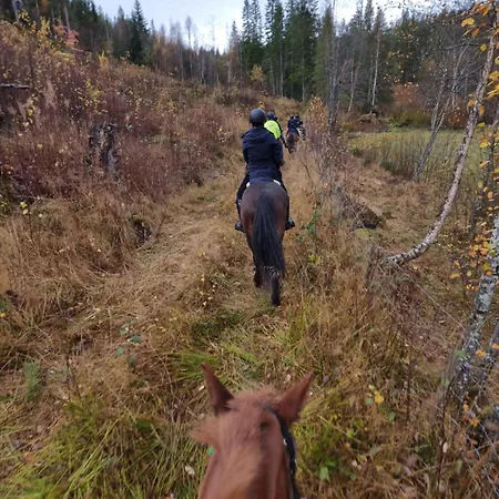 Appartement Med 2 Soverom